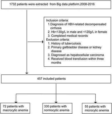 Nonlinear Relationship Between Macrocytic Anemia and Decompensated Hepatitis B Virus Associated Cirrhosis: A Population-Based Cross-Sectional Study